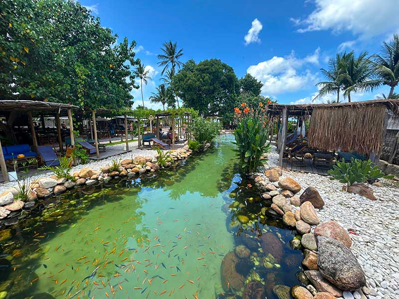 Piscina ecológica do beach club Santo Milagres, dica de o que fazer em São Miguel dos Milagres