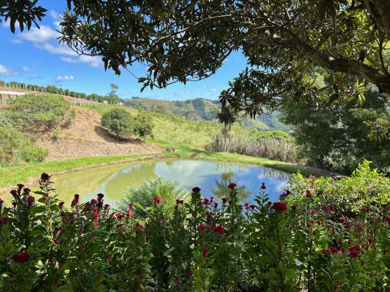 Vista do Sítio São Geraldo, onde é produzido o café Nonno Marchi, com lago e flores