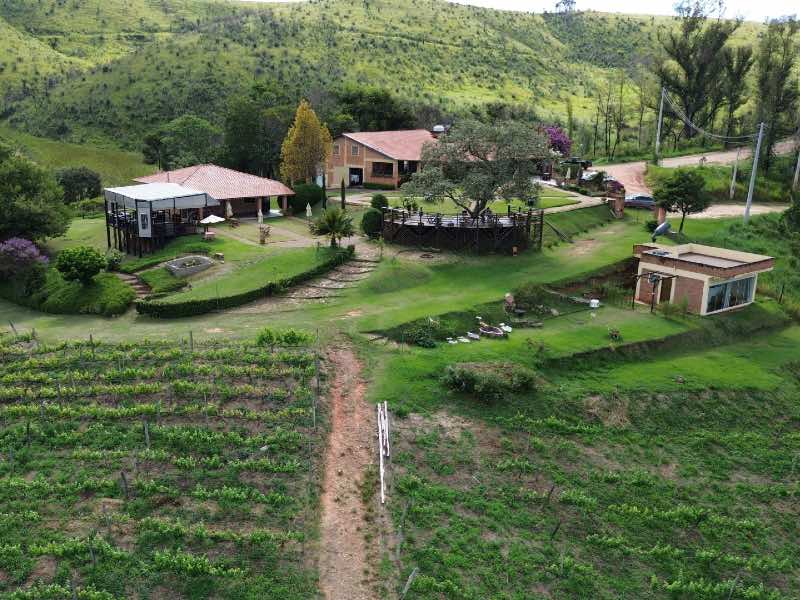 Vista aérea da Vinícola Terrssos, em Amparo, com vinhedo