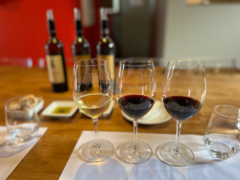 Degustação de vinhos na Adega Cartuxa, dica de o que fazer no Alentejo