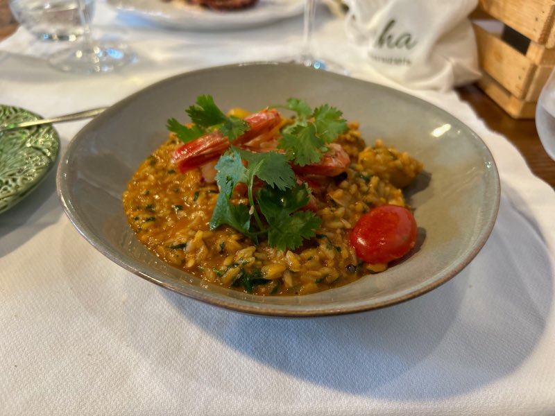 Arroz cremoso de camarão da Gadanha Mercearia, dica de onde comer em Estremoz