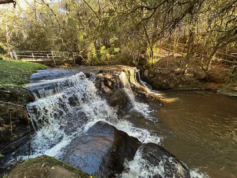 Cachoeira do Canto das Cachoeiras, dica de o que fazer em Cunha, em meio à vegetação
