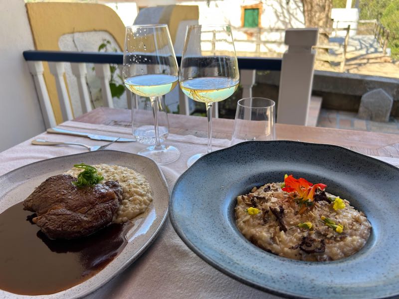 Risoto de ervas com bife ancho e risoto de cogumelos do Terruá, dica de o que fazer em Cunha