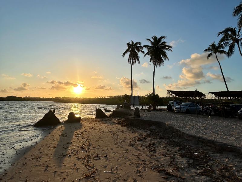 Pòr do sol com coqueiros na Boca do Rio Tatuamunha, dica de o que fazer em Porto de Pedras