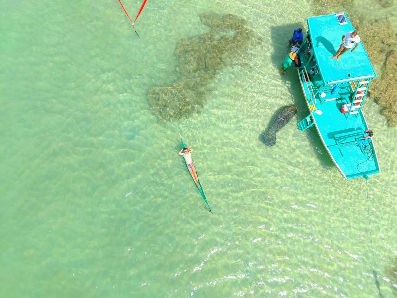 Homem deitado em rede nas Piscinas Naturais de Lages com peixe-boi ao lado