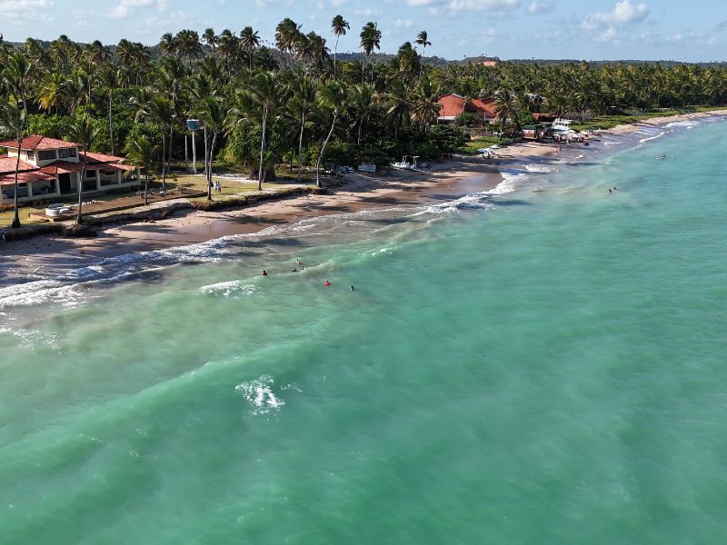 Mar esverdeado da Praia de Lages, dica de o que fazer em Porto de Pedras, com coqueiros e céu azul com nuvens