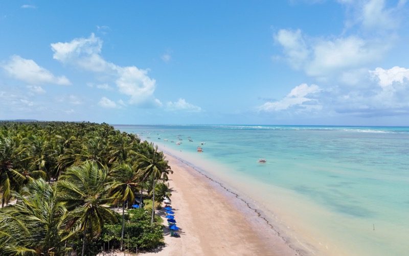Vista de cima da Praia do Patacho com céu azul e mar esverdeado