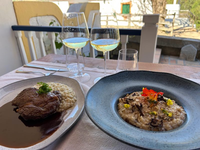 Ancho grelhado com risoto de ervas e risoto de cogumelos do Terruá, dica entre os restaurantes em Cunha