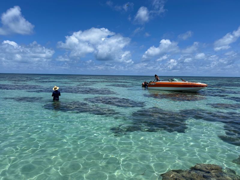 Pessoas entre os corais nos Parrachos de Perobas com mar esverdeado
