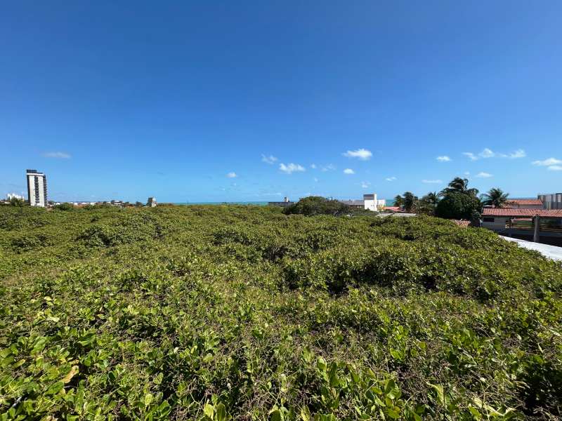 Maior cajueiro do mundo visto de cima, um dos passeios em Natal, em dia de céu azul