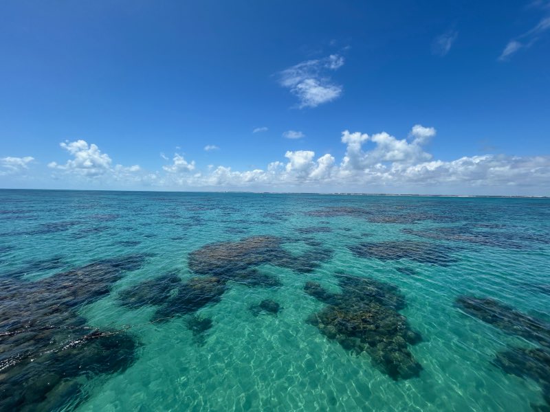 Parrachos de Maracajaú com águas claras esverdeadas e vaziao