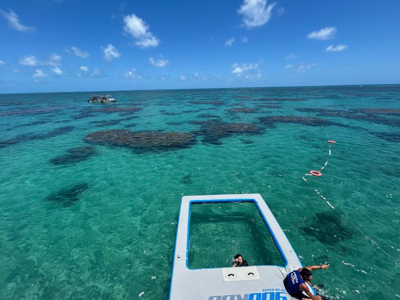 Pessoas aproveitam piscinas naturais no Rio Grande do Norte em dia de céu azul e águas cristalinas
