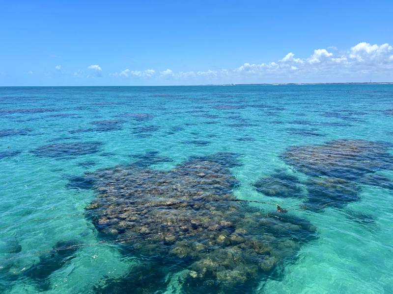 Parrachos de Maracajaú vistos de cima vazios em dia de céu azul