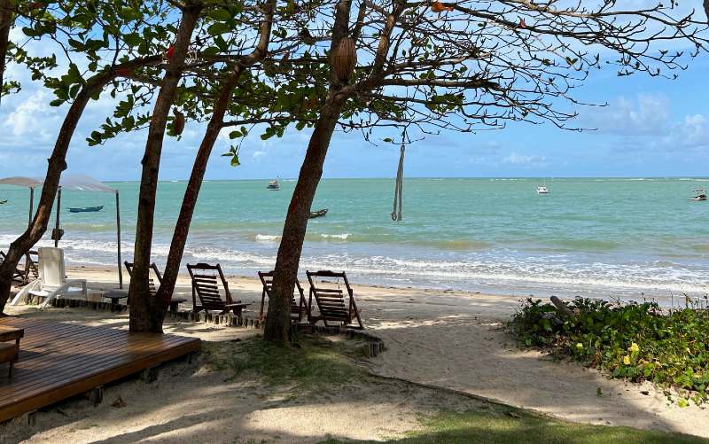 Mar esverdeado de Cumuruxatiba, dica entre as praias no sul da Bahia, com árvores e céu azul