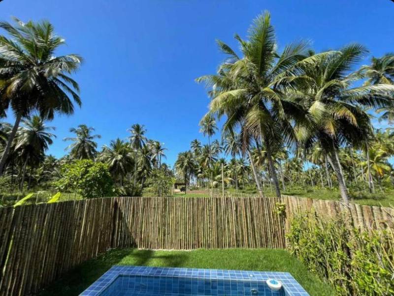 Piscina da Solar do Patacho com piscina e coqueiros