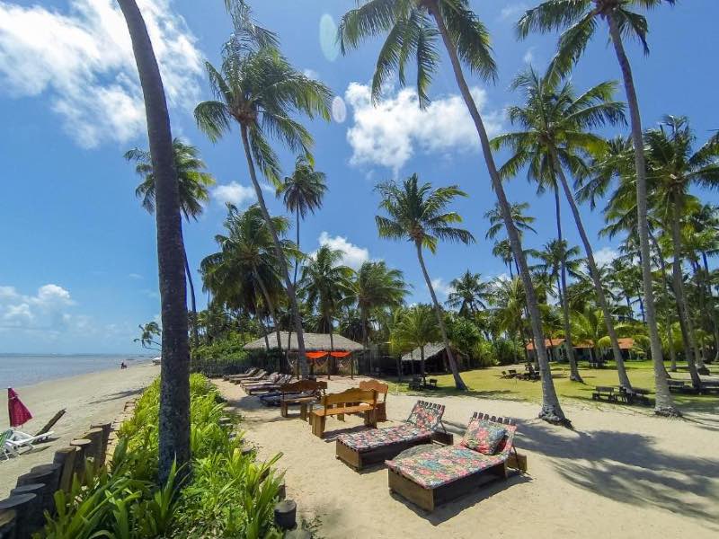 Área de praia da Vila do Patacho com espreguiçadeiras entre os coqueiros em dia de sol