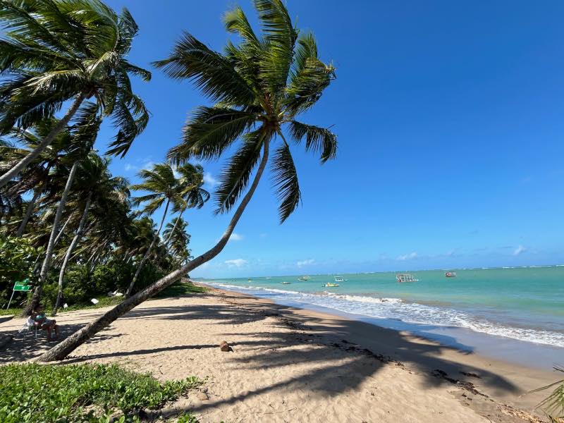 Coqueiros, areia vazia e mar esverdeado da Praia do Patacho, na Rota Ecológica dos Milagres