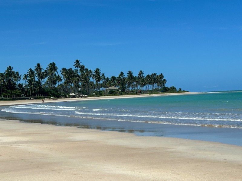 Areia vazia da Praia do Marceneiro com coqueiral e mar esverdeado
