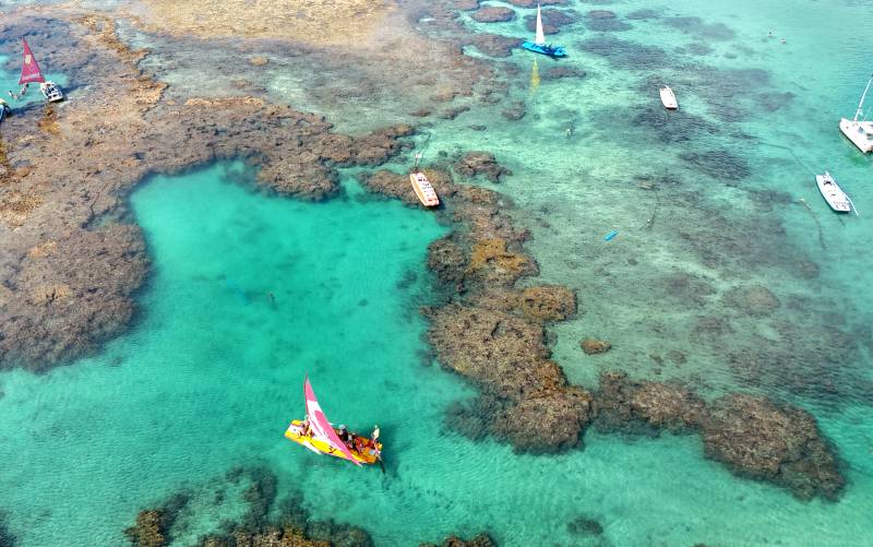 Jangadas nas piscinas naturais de Porto de Galinhas, em Pernambuco