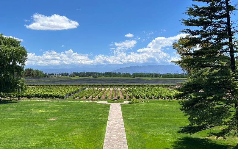 Área externa da Norton, uma das vinícolas em Mendoza, em dia de céu azul
