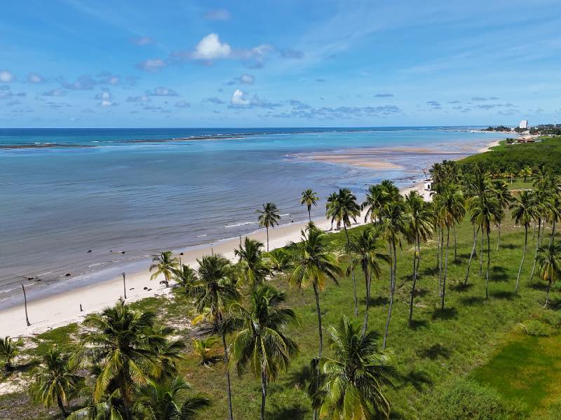 Coqueiros em frente à Praia do Gravatá, em Pernambuco, com mar e areias vazios