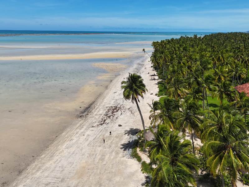 Areia e mar vazios com coqueiros na Praia do Gravatá, em Pernambuco